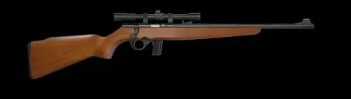 802 BANTAM BOLT 22LR WD SCOPE# | 802 PLINKSTER