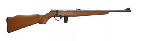 802 BOLT ACT 22LR BL/WD 18"# | 802 PLINKSTER