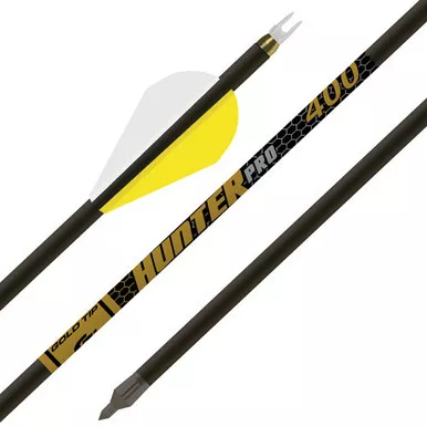 Gold Tip Hunter Pro 340 Arrow, 2-Inch Raptor Vanes, 1/2 Dozen