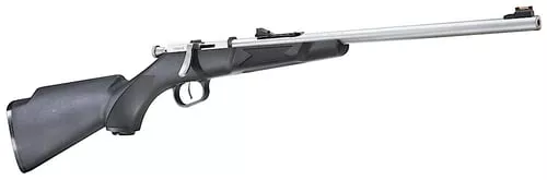 MINI BOLT 22LR SS/SYN# | WILLIAMS FIRE SIGHTS