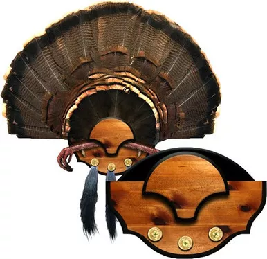 Mountain Mike's Beard Master Turkey Mounting Plaque