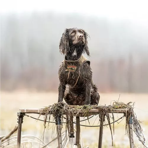 Rig'Em Right Swamp Bully Dog Stand